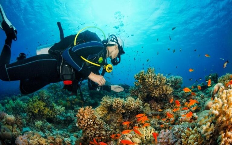 thrilling adventure sports example, where a person is snorkelling in ocean