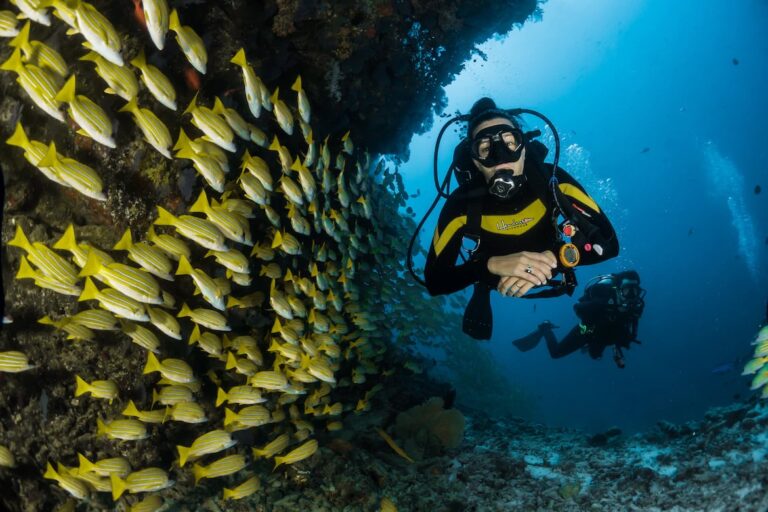scuba diving in pondicherry