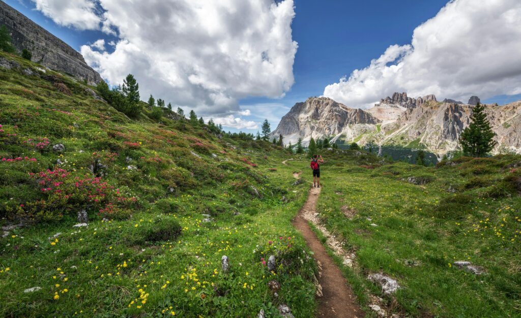 "Man trekking in the Himalayas on one of the top adventure treks in India"